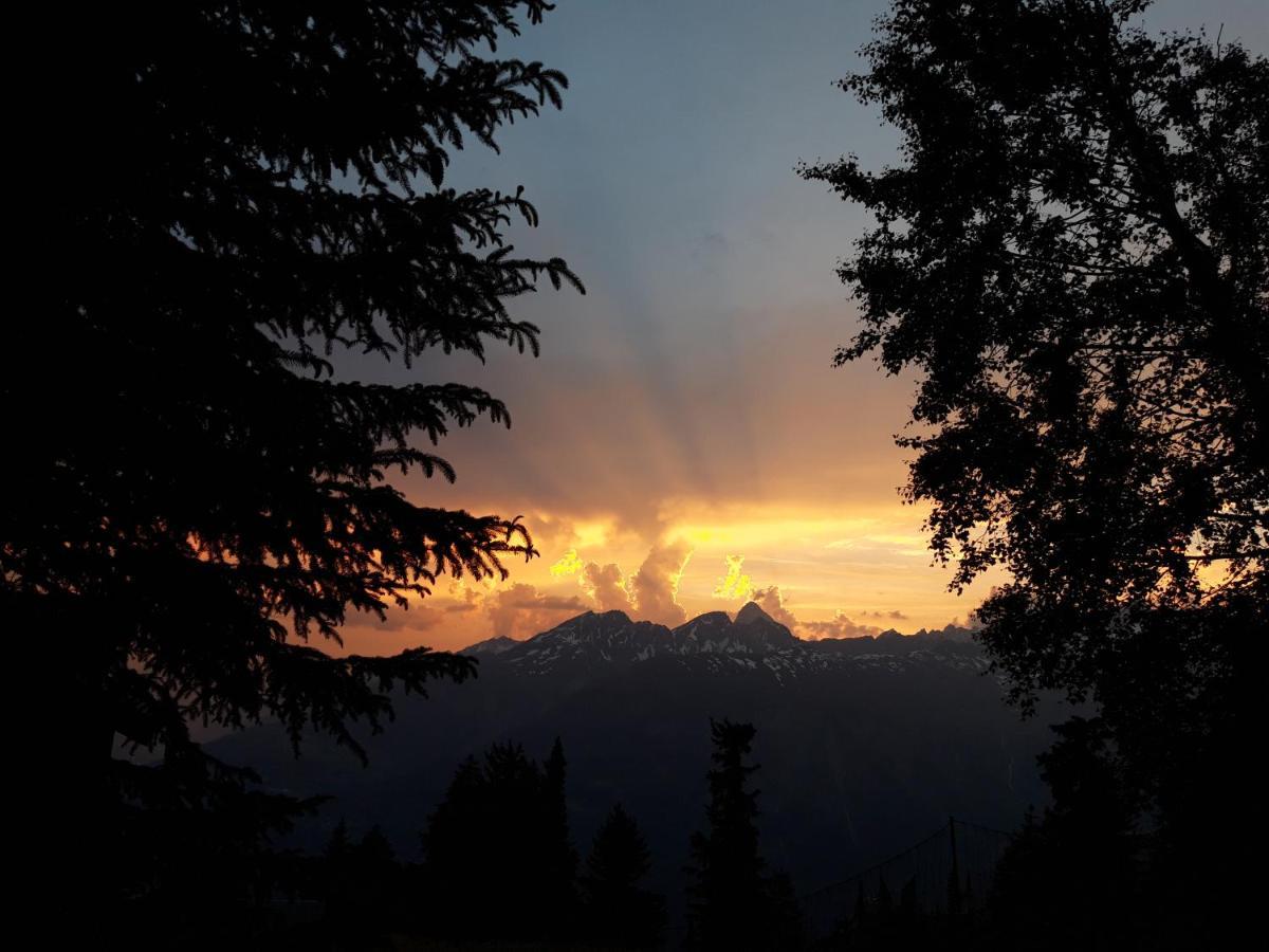 Chalet Bietschhorn Rosswald Termen 外观 照片