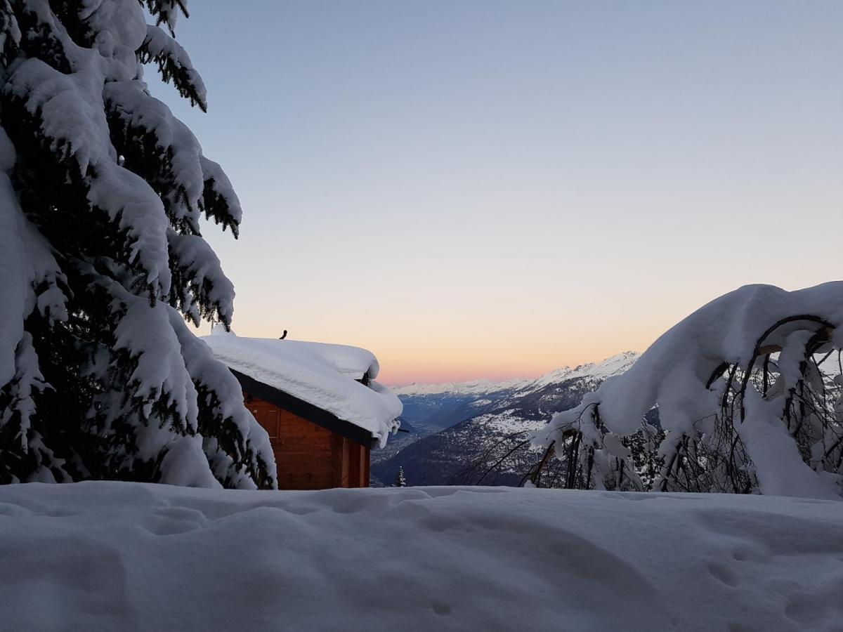 Chalet Bietschhorn Rosswald Termen 外观 照片