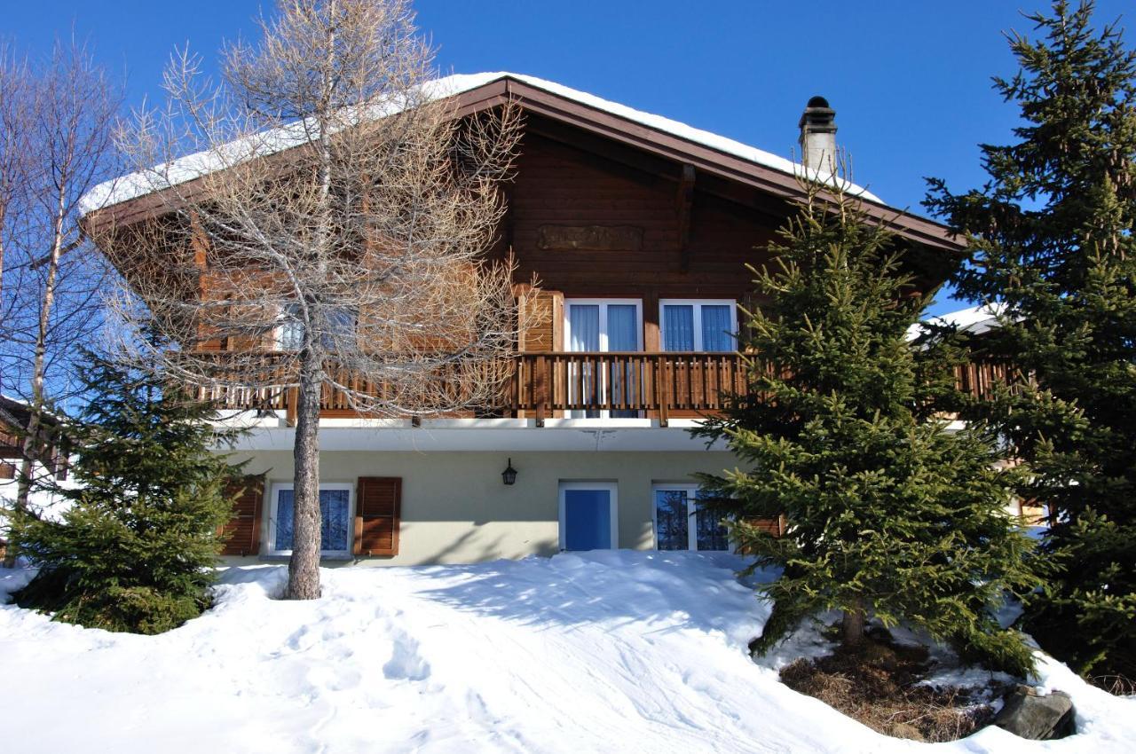 Chalet Bietschhorn Rosswald Termen 外观 照片