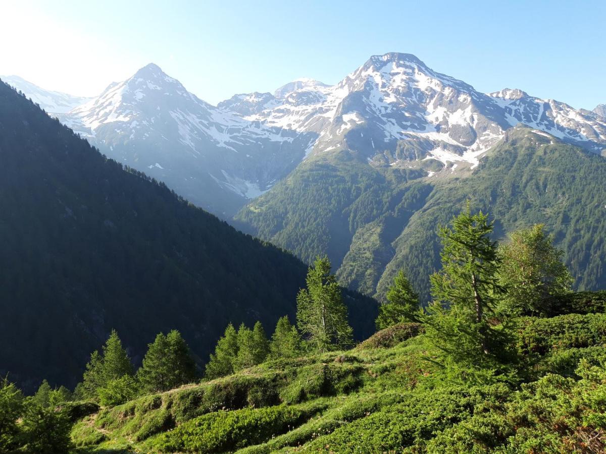 Chalet Bietschhorn Rosswald Termen 外观 照片