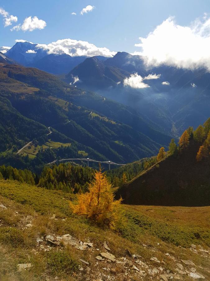 Chalet Bietschhorn Rosswald Termen 外观 照片