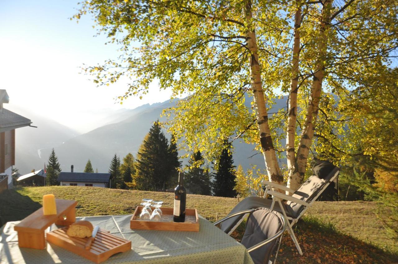 Chalet Bietschhorn Rosswald Termen 外观 照片
