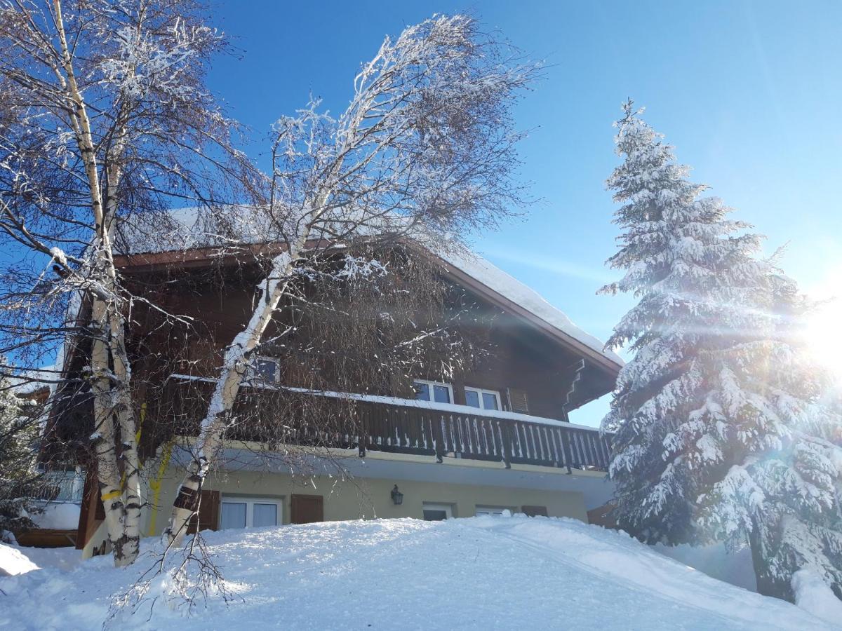 Chalet Bietschhorn Rosswald Termen 外观 照片