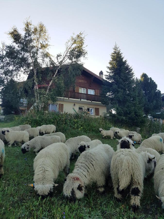 Chalet Bietschhorn Rosswald Termen 外观 照片